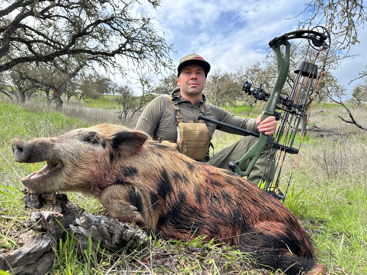 Hog Hunts CA